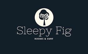 Sleepyfig
